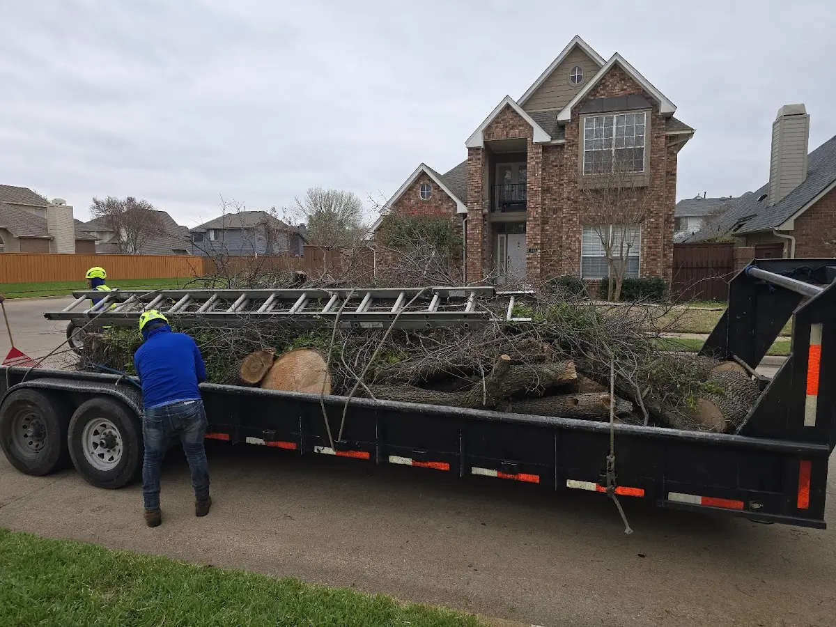 Expert Crown Reduction with proper safety equipment in Meadow Lands